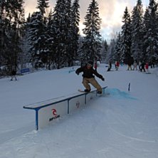 Kuva: axel f&auml;ltstr&ouml;m. Ratsastaja: Staffan Zackrisson.