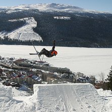 Kuva: Jens Blixth. Ratsastaja: Erik Kikajon.