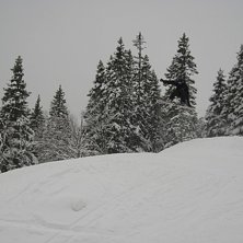 Kuva: Svenne. Ratsastaja: Jag.