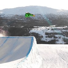 Kuva: Jesper Bryngelsson. Ratsastaja: Niklas Mattsson.