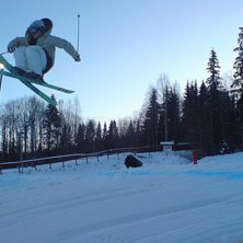 Kuva: Viktor &amp;quot;Virre&amp;quot; Pettersson. Ratsastaja: Kim L&ouml;fgren.