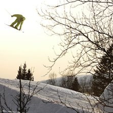 Fotosession med Oscar Scherlin och Niklas Karlstr�. Kuva: Mattias Fredriksson. Ratsastaja: Toffe Mattsson.