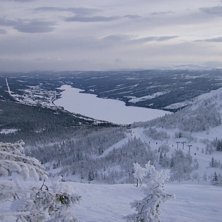 Kuva: Martin. Ratsastaja: Martin.