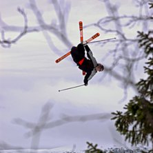 En gammal h&auml;rlig mutegrab. Uppochned. Jonas sure . Kuva: Jonas Collen. Ratsastaja: Jim JohansSon Wolf.