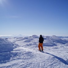 Kuva: Emy Gejier. Ratsastaja: Erik Sundsten.