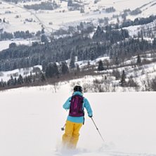 Kuva: Andreas Gustavsson. Ratsastaja: Anna.