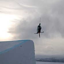 5a mute i br&auml;ckes svarta line.. Kuva: Fredrik Holm. Ratsastaja: Simon Blad.