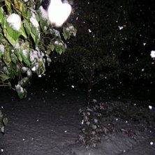 F&ouml;rsta sn&ouml;n f&ouml;r i &aring;r h&auml;r :D. Kuva: Hampus Persson.