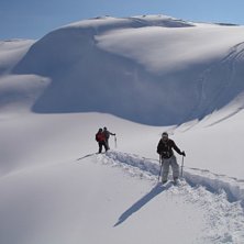 p&aring; telisar i ov&auml;ntat puder o sk&ouml;na m&auml;nnsikor. Kuva: Joakim Larson. Ratsastaja: Lisen o pojkar.