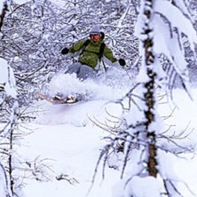 Skogs&aring;kning rules!. Kuva: Juha Laine. Ratsastaja: Tobias Liljeroth.