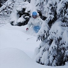 Kuva: Johan Olsson. Ratsastaja: Hanna Skogsberg.