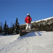 Kuva: Marcus L&ouml;fvenberg. Ratsastaja: Mattias L&ouml;fvenberg.