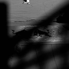Simon Dumont i en cork 540 nosegrab under Jon Olss. Kuva: Mattias Fredriksson. Ratsastaja: Simon Dumont.