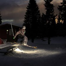Kuva: Jesper Bryngelsson. Ratsastaja: Fredrik S&ouml;derberg.