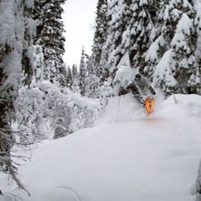 31 oktober i &aring;re. Kuva: Ida Forsberg. Ratsastaja: erik.s.