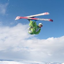Flatspin vid en driva. Kuva: Isak Hemmingsson. Ratsastaja: SMagnusson.