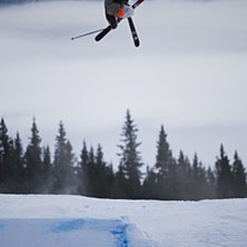 Kuva: Yngve Staberg. Ratsastaja: Blayze Bramwell.