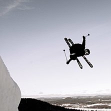 Cork 3. Kuva: Christina Zeidlitz. Ratsastaja: Jonas Zeidlitz.