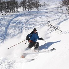 Mats ute p&aring; gr&ouml;nbete igen efter en stunds uppeh�. Kuva: Tomas Halvarsson. Ratsastaja: Mats Synnersten.