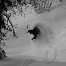 Tottskogen den 5 januari 2010
Vill ni ser mer fet. Kuva: Marcus Olsson. Ratsastaja: Douglas Brostr&ouml;m.