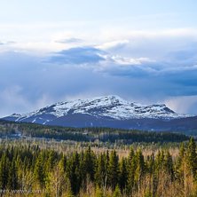 Regn &ouml;ver &Aring;reskutan... Kuva: Simon Sj&ouml;r&eacute;n www.sjoren.se. Ratsastaja: &Aring;reskutan.