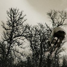 Ett sista eftermiddags&aring;k i den lilla stugbacken  . Kuva: Mattias L&ouml;f. Ratsastaja: Petter Elfsberg.