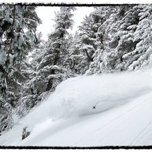 En v&auml;nstersv&auml;ng i magic forest.. Kuva: Ola Melin. Ratsastaja: Johan &Aring;kesson.