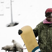 Stryn Ocensurerat. Kuva: Kristoffer Andersson. Ratsastaja: Lambi.