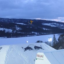 Jon Olsson Invitational. Kuva: Ludvig Eriksson. Ratsastaja: Pk Hunder.