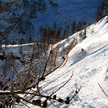 Skogen i La Grave.. Kuva: Rich. Ratsastaja: David Kvart.