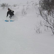 Kuva: Martin Olofsson. Ratsastaja: Patrik Schjelvan.