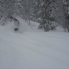I pisten!!. Kuva: Tobias Rydberg. Ratsastaja: Marcus Jarl&ouml;.