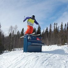 Kuva: Malin Blomqvist. Ratsastaja: Albanot.