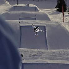 www.niclasmagnusson.com. Kuva: Niclas Magnusson. Ratsastaja: Niclas Karlsson.