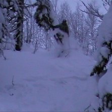 Kuva: mats elofsson. Ratsastaja: felix elofsson.