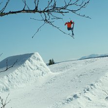 Kuva: Petter Persson. Ratsastaja: AJ Burton.