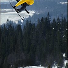 Freeride 2006. Kuva: Johan Schedin. Ratsastaja: Pk hunder?.