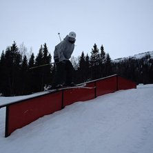 Rejl. Kuva: Viktor Backman. Ratsastaja: Staffan Zackrisson.