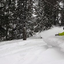 Mats &aring;ker lite i skogen i Duved efter en rej&auml;l p. Kuva: Viktor Bjurlid. Ratsastaja: Mats Domarg&aring;rd.