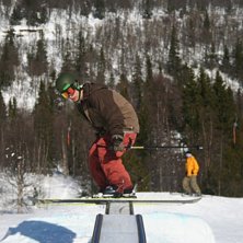 en solig dag i br&auml;cke. PS (jag var n&auml;ra p&aring; o k�. Kuva: Fredrik Eriksson. Ratsastaja: Kenneth Jonsson.
