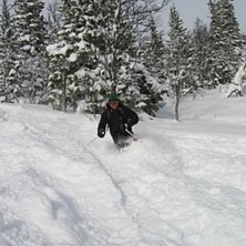 Kuva: Kristin Nilsson. Ratsastaja: beng-ha.