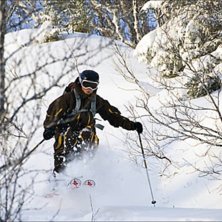 Sk&ouml;nt puder i &Aring;re efter ett ruskigt bra sn&ouml;ov&auml;. Kuva: Ola Rockberg. Ratsastaja: Erika Edling.