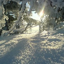 Tegefj&auml;ll kl. 09 -25 grader. Kuva: Barbie. Ratsastaja: Barbie.