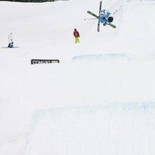 swedish open. Kuva: newschoolers. Ratsastaja: jesper tj&auml;der.