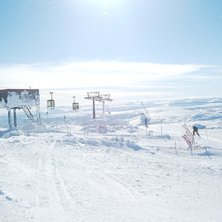 &Aring;re . Nice v&auml;der? . Kuva: Olle Isaksson. Ratsastaja: Ingen.
