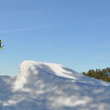 Octo. Kuva: Max Joners. Ratsastaja: Olov Engstr&ouml;m.