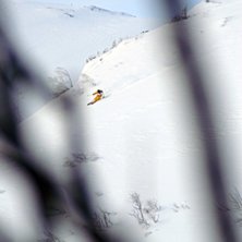 Kuva: Johan St&aring;hlberg. Ratsastaja: Henrik Utter.