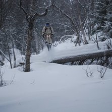 Kuva: Fredrik B&auml;ck. Ratsastaja: Torbj&ouml;rn B&auml;ck.