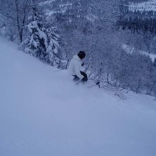 Kuva: Hanna Ekelund. Ratsastaja: Gustav Vikstr&ouml;m.
