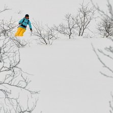 Kuva: Andreas Gustavsson. Ratsastaja: Anna.